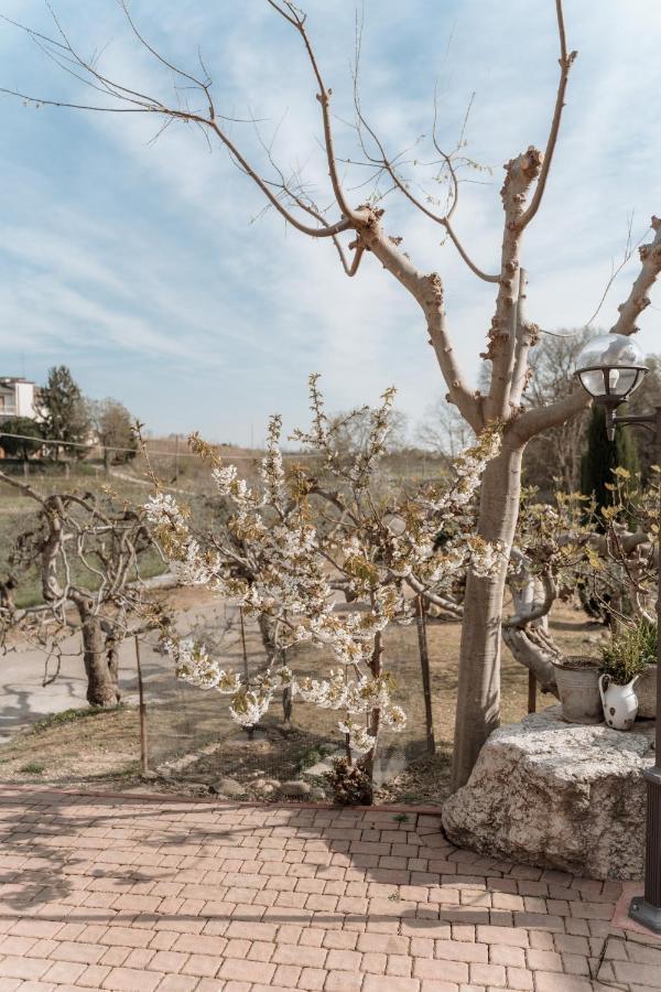 Agriturismo San Francesco Valeggio sul Mincio Luaran gambar
