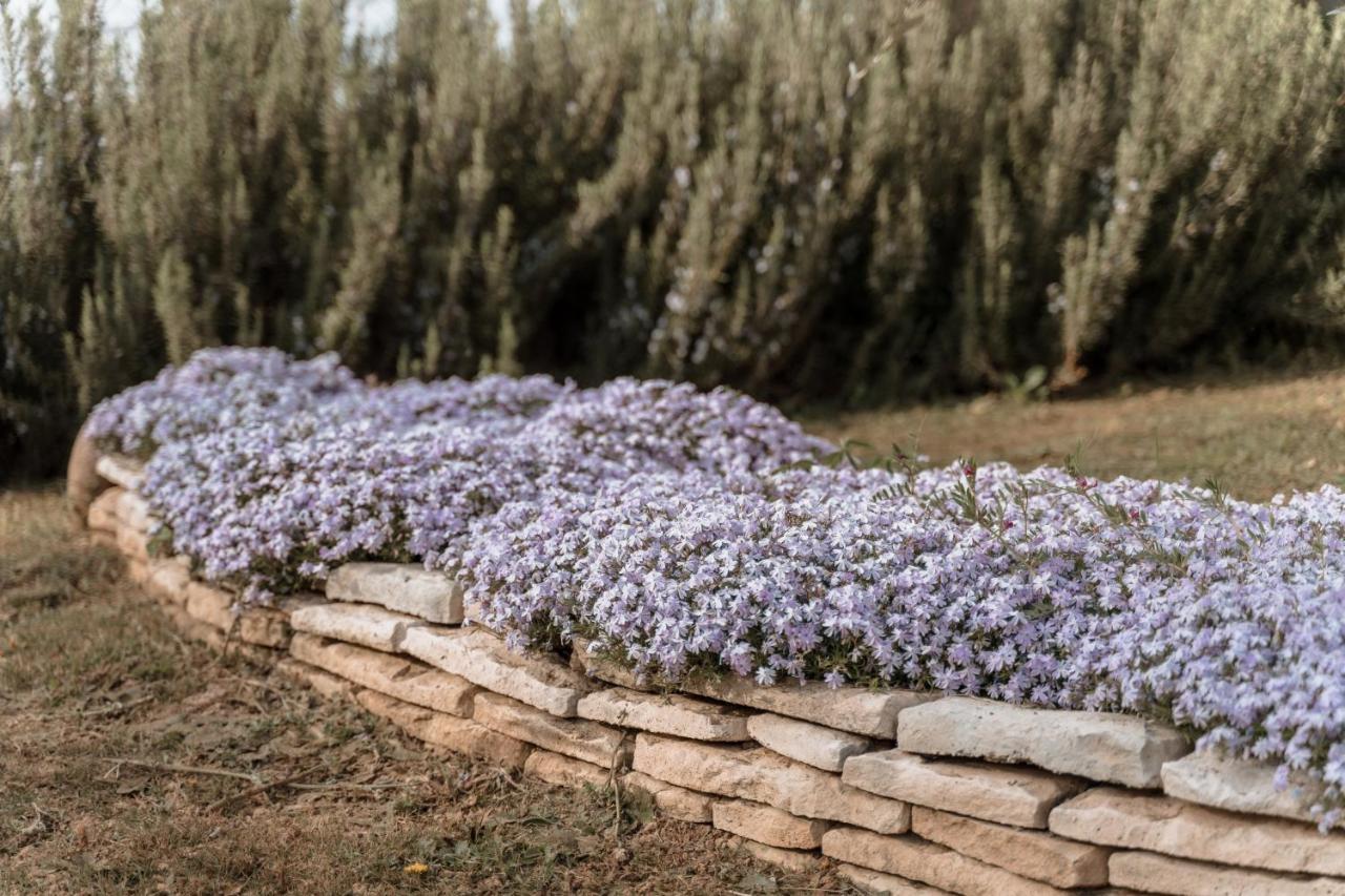 Agriturismo San Francesco Valeggio sul Mincio Luaran gambar