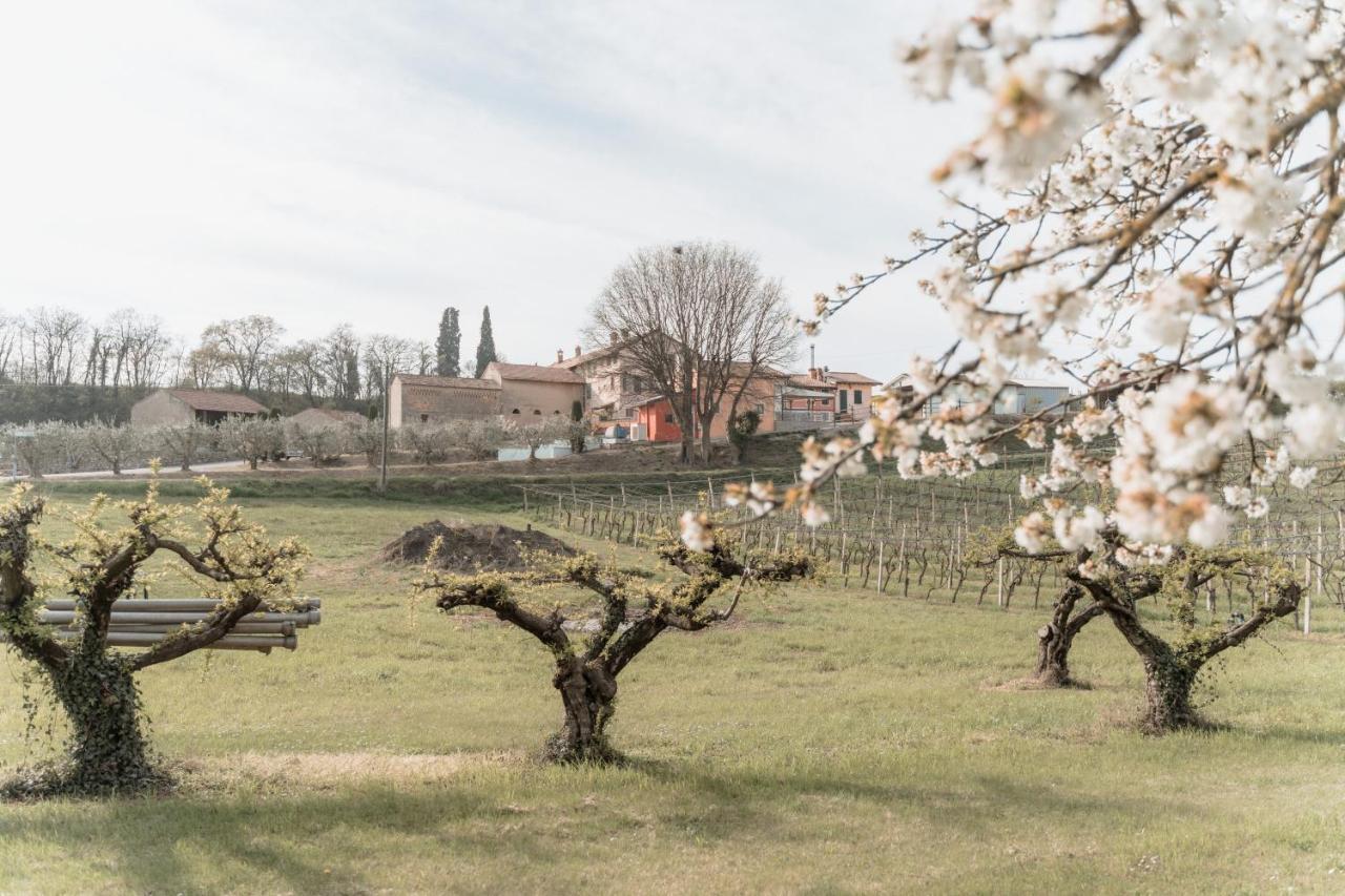 Agriturismo San Francesco Valeggio sul Mincio Luaran gambar