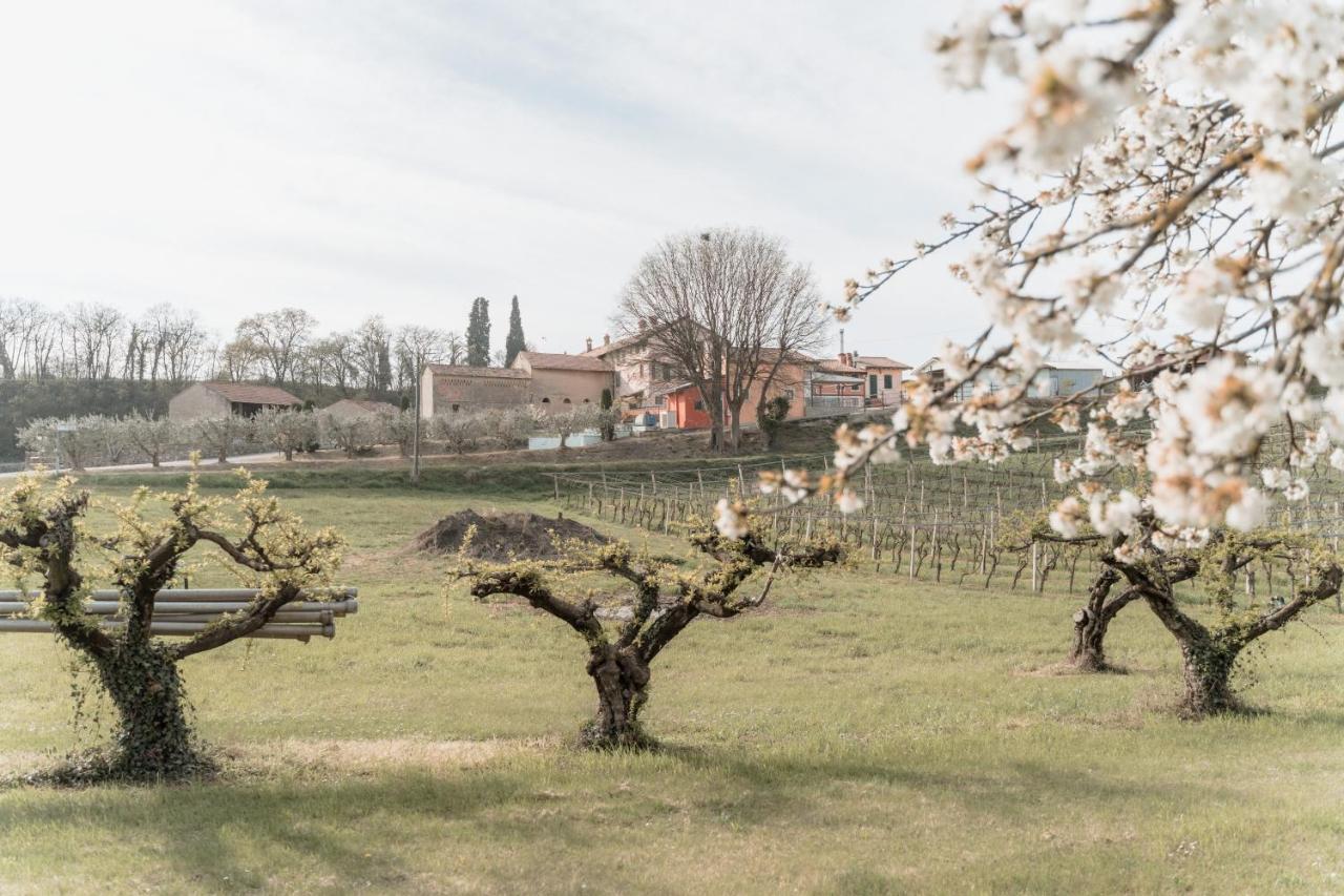 Agriturismo San Francesco Valeggio sul Mincio Luaran gambar