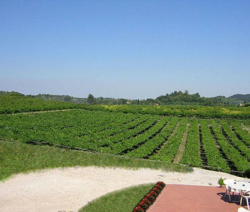Agriturismo San Francesco Valeggio sul Mincio Luaran gambar